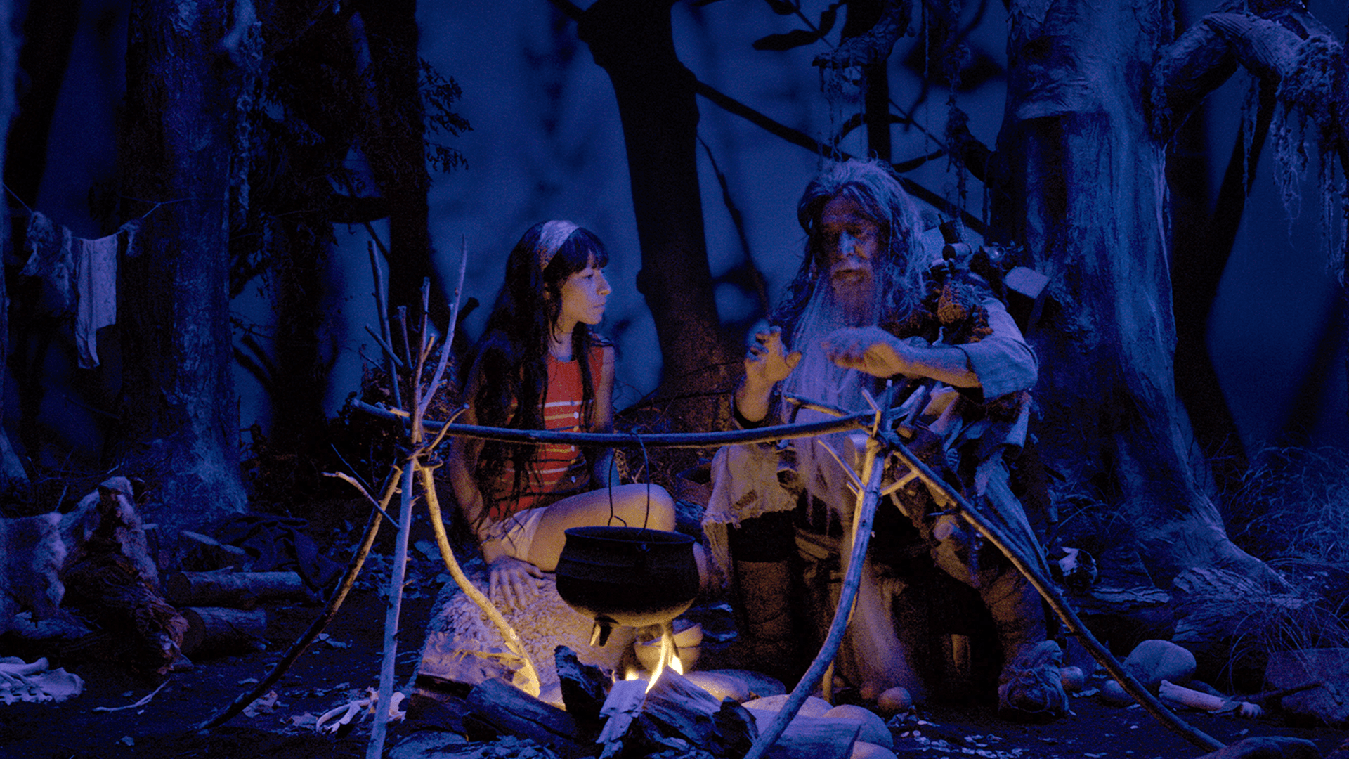 Donkey Princess