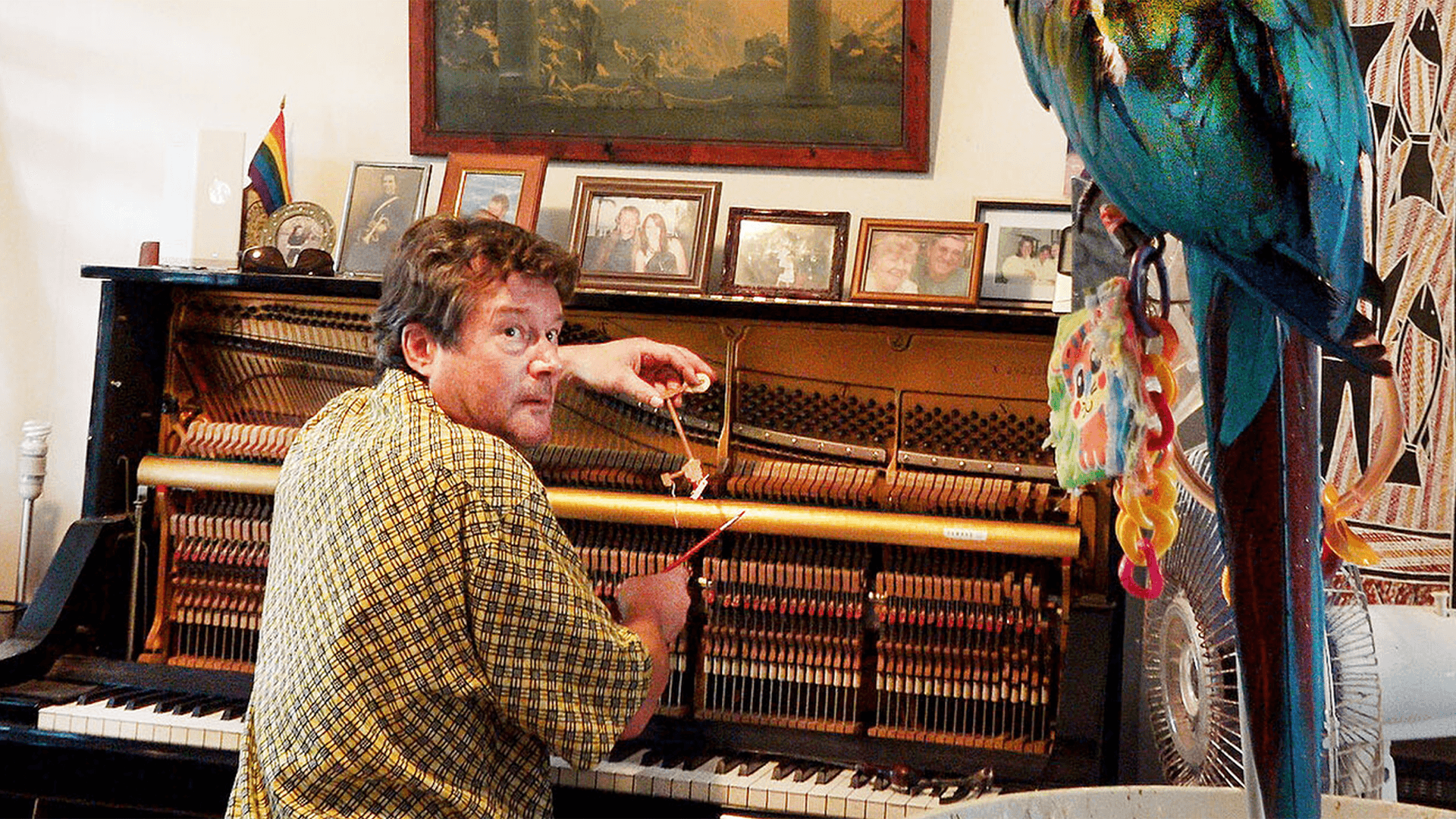 The Piano Tuner