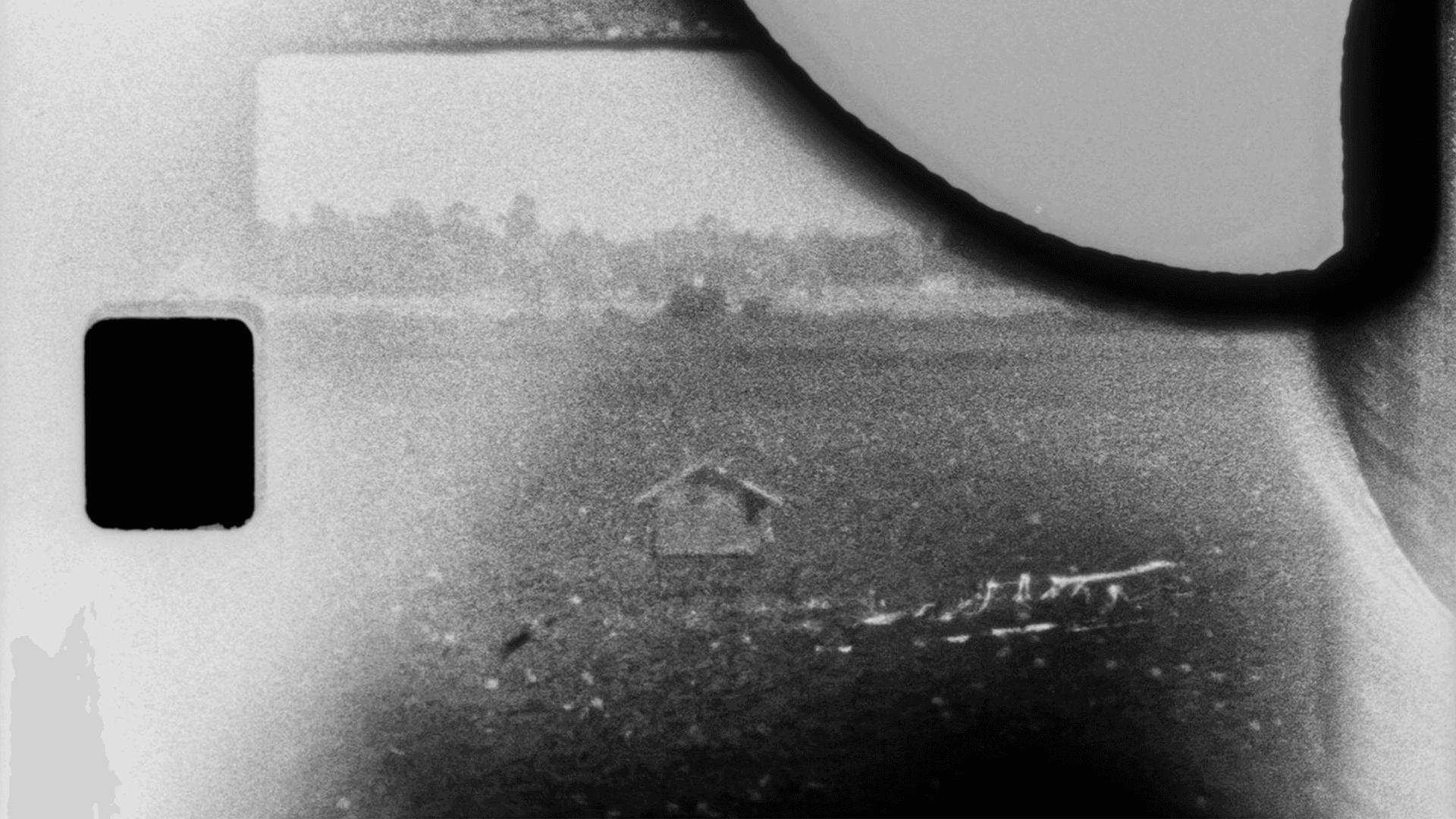 Lost in the Water